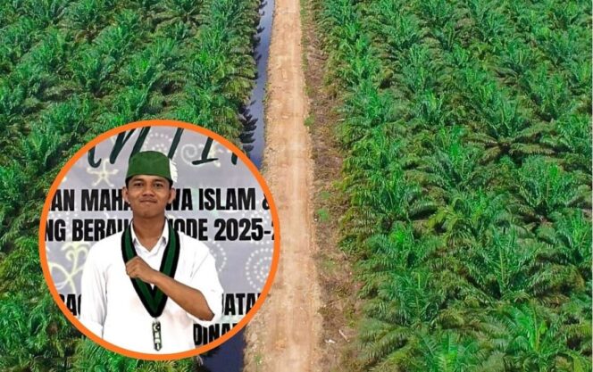 
					Perusahaan Kayu dan Sawit Disorot, Abas : Izin Lingkungan Perusahaan Jangan Sekadar Formalitas 